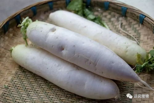 樹(shù)生態(tài)農(nóng)業(yè)新形象 理塘縣舉辦生態(tài)農(nóng)產(chǎn)品展銷會(huì)助力農(nóng)副產(chǎn)品銷售