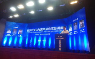 專家論道長(zhǎng)沙 文化資本融合，借力新三板與互聯(lián)網(wǎng)共舞